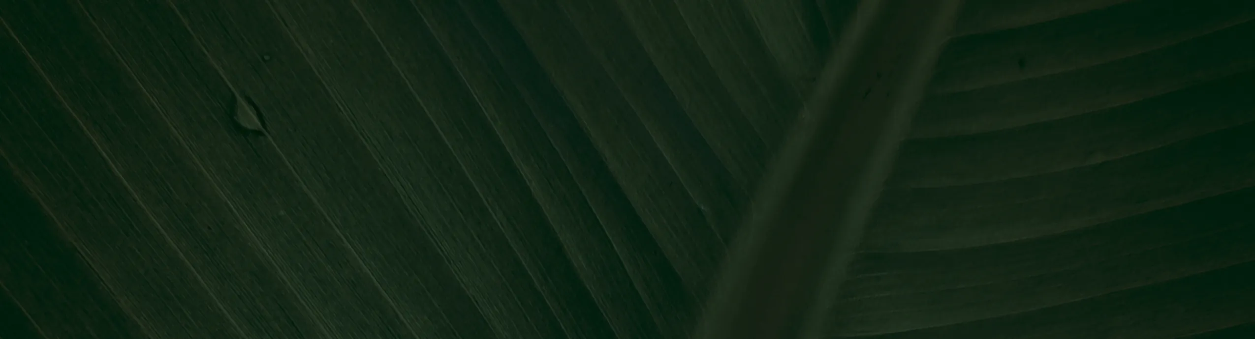 1 2 3 5 7 10 Gallon Bag Cocopeat Grow Bags Potatoes Pots Fabric Containers for Planting Fabric Grow Pot