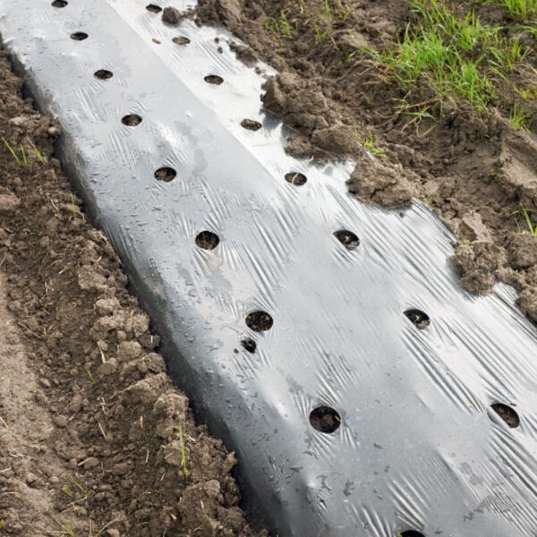 Plastic PE Thickened Black Agricultural Film Waterproof Breathable Weed-proof Heat-insulating Blow Molding Film