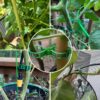 Plastic Trellis Plant Support Clips for Support, Grape and Tomato Vine, Vegetables Plants, Garden Clips to Grow Upright