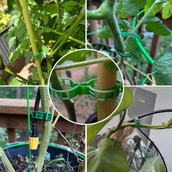 Plastic Trellis Plant Support Clips for Support, Grape and Tomato Vine, Vegetables Plants, Garden Clips to Grow Upright