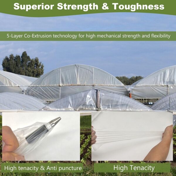 High Quality clear UV Resistant Greenhouse Plastic Film Roll , Used for Vegetable Cultivation