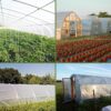 High Quality clear UV Resistant Greenhouse Plastic Film Roll , Used for Vegetable Cultivation