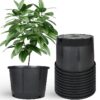 Promotion Durable 1 to 25 Gallon Black Plastic Planter Plant Flower Seedling Nursery Pots
