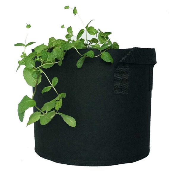 Grow Bags, 300G Thickened Aeration Fabric Pots with Handles, Heavy Duty Cloth Pots for Plants