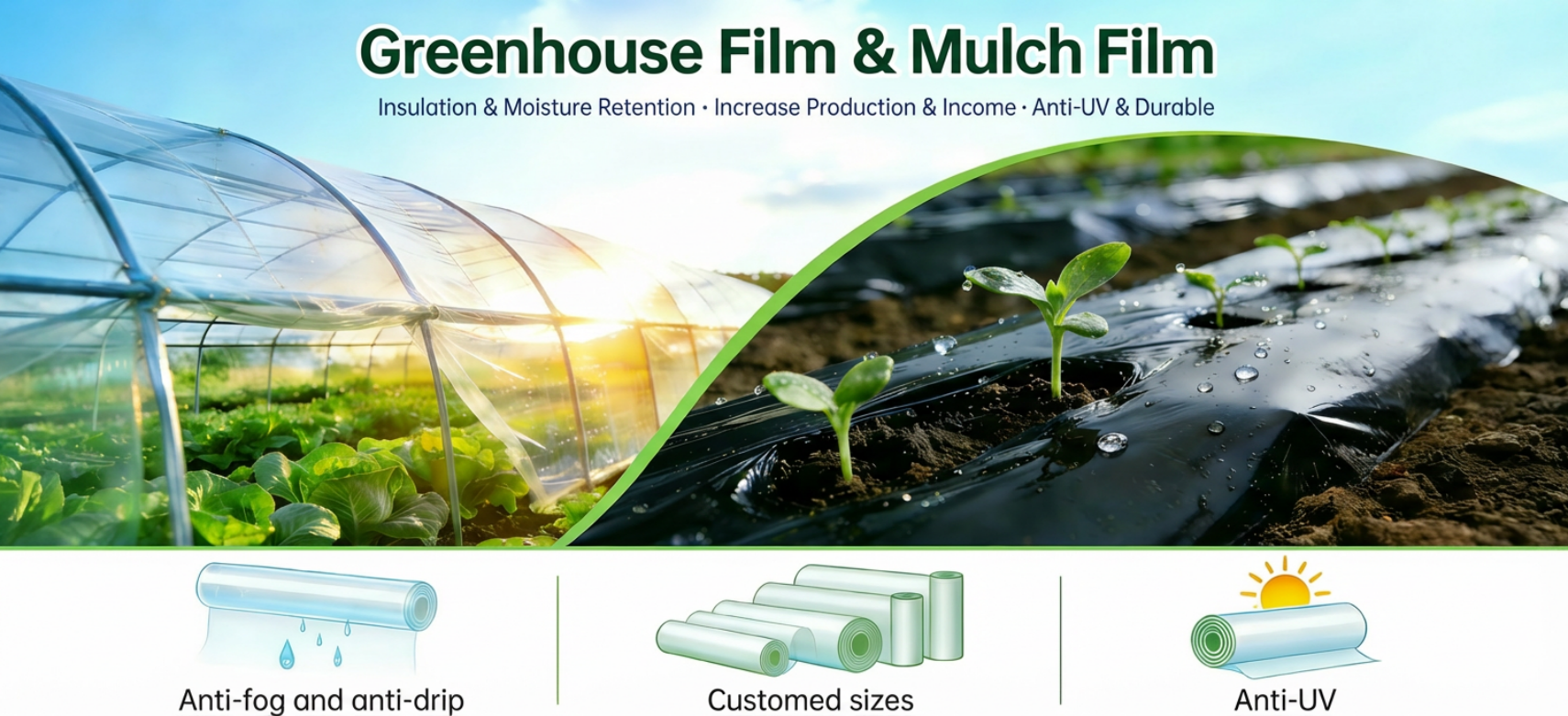 b2618de9-f06a-40cf-8943-65433ab16292