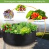 100 Gallon Large Grow Bag, Heavy Duty Fabric Round Raised Garden Bed Planter Pots for Planting Herb Flower Vegetable Potato Plants