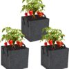Fabric Raised Garden Bed,Garden Growing Bags with Handle, 3 Grids Breathable Garden Grow Bed Bag Grow Planter Bags Plant Bed for Planting Vegetables, Flowers and Herbs