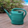 3L 5L 8L 10L Large Capacity Plastic Garden Watering Cans PE Watering Can with Removable Spout Diffuser Plastic Watering Can