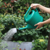 3L 5L 8L 10L Large Capacity Plastic Garden Watering Cans PE Watering Can with Removable Spout Diffuser Plastic Watering Can