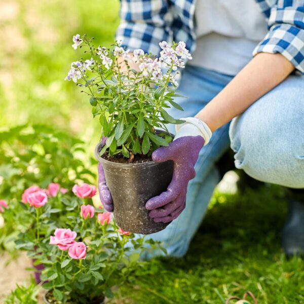 Gallon Reinforced Clear Nursery Pots with Drainage Holes, 7 Inch Transparent Plastic Plant Pot Seedling Planter for Vegetable Propagation, Root Cutting, Seed Starting