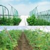 Green Trellis Netting 4x100 ft Heavy Duty Garden Netting Polypropylene Plant Support Net for Climbing Vegetables Fruits Flowers