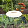 Nylon Trellis Netting Roll 5 x 350 ft, 6 Inch Soft Mesh, Heavy Duty Reinforced Garden Plant Support Mesh for Vertical Growing, Climbing Plants