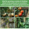 Trellis Netting For Climbing Plants - MAQIHAN 2 PCS Garden Trellis Netting Plant Support Netting Heavy Duty Climbing Net Trellis For Cucumber Tomato Grape Vegetable Fruits Bean Climbing Plants Outdoor