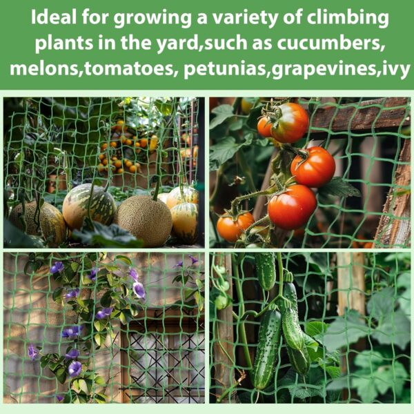 Trellis Netting For Climbing Plants - MAQIHAN 2 PCS Garden Trellis Netting Plant Support Netting Heavy Duty Climbing Net Trellis For Cucumber Tomato Grape Vegetable Fruits Bean Climbing Plants Outdoor