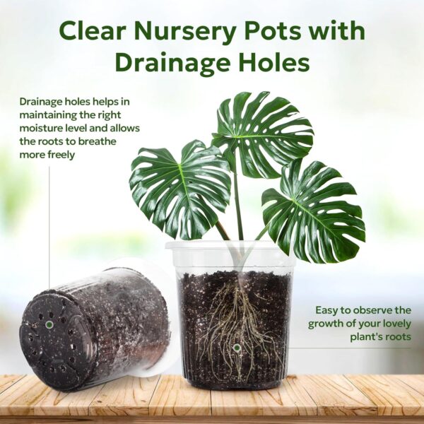 Gallon Reinforced Clear Nursery Pots with Drainage Holes, 7 Inch Transparent Plastic Plant Pot Seedling Planter for Vegetable Propagation, Root Cutting, Seed Starting