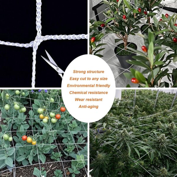 Nylon Trellis Netting Roll 5 x 350 ft, 6 Inch Soft Mesh, Heavy Duty Reinforced Garden Plant Support Mesh for Vertical Growing, Climbing Plants