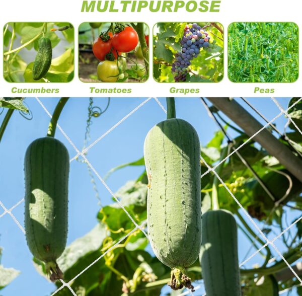 6.5 x 700 ft Trellis Netting Roll Soft Mesh Nylon Heavy Duty Garden Trellis Netting Bulk for Climbing Plants, Grape Racks, Growing Support Bean, Pea, Tomatoes