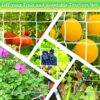 Plant Trellis Netting,Heavy-Duty Garden Grow Net Polyester Square Mesh Nets for Climbing Plants,Tomatoes,Cucumbers,Beans,Fruits,Flowers