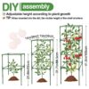 Tomato Cage Trellis Tomatoes Plant Stakes Support Plant Cages Trellis for Garden Climbing Vegetables