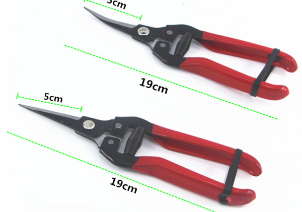 Professional Sharp Snip Trimming Tool for Gardening Plant Flower Grape High-carbon Steel Scissor Pruning Shears