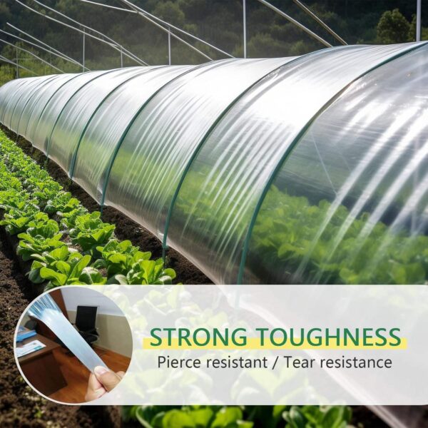 Greenhouse Plastic Sheeting 6 Mil Clear UV Resistant Polyethylene Film Made China for Farms Agriculture