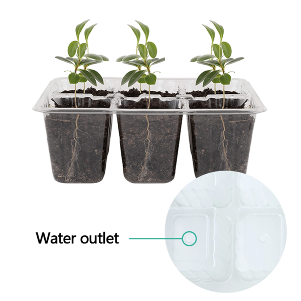 Round and Square Seeding Box 6 Cells 12 Cells 15 Cells 24 Cells for Seedling Nursery for Vegetable and Flowers Seeding