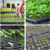 Plastic 72 Cells PS Seedling Trays Plant Nursery Seed Tray for Agriculture Greenhouse Farm Garden