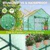 High Quality Plant Succulent Insulated Winter Plant protection Greenhouse Kit 4Tier Garden Greenhouse with Seedling Stand