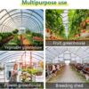 Greenhouse Plastic Sheeting 6 Mil Clear UV Resistant Polyethylene Film Made China for Farms Agriculture
