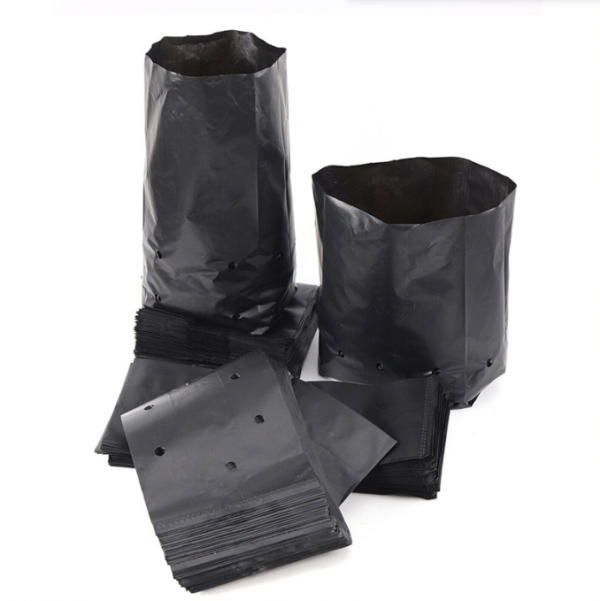 PE Black Plastic Nursery Bags Plant Grow Bag Seedling Pots Sapling Cultivation Bag
