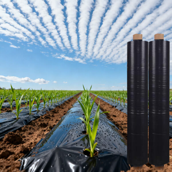 Black Silver PE Plastic Mulching Film Agricultural Farming Greenhouse Seedling Growing Anti UV Blow Molding Customized