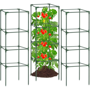 Tomato Cage Trellis Tomatoes Plant Stakes Support Plant Cages Trellis for Garden Climbing Vegetables