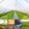 Clear Heavy Duty Greenhouse Film & Plastic Sheeting for Farm/Garden Floor Protection
