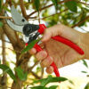 High Quality Agriculture Garden Bypass Steel Professional Plant Fruit Tree Pruning Shears Pruner Garden Manual Pruner Scissors