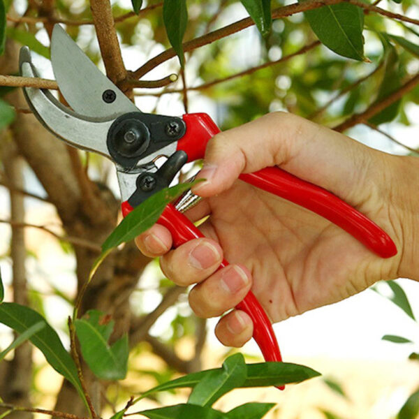 High Quality Agriculture Garden Bypass Steel Professional Plant Fruit Tree Pruning Shears Pruner Garden Manual Pruner Scissors