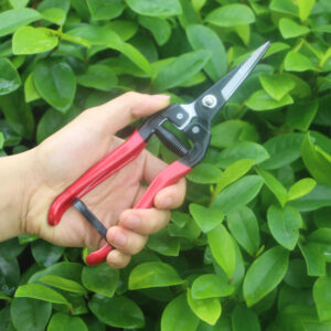 Professional Sharp Snip Trimming Tool for Gardening Plant Flower Grape High-carbon Steel Scissor Pruning Shears