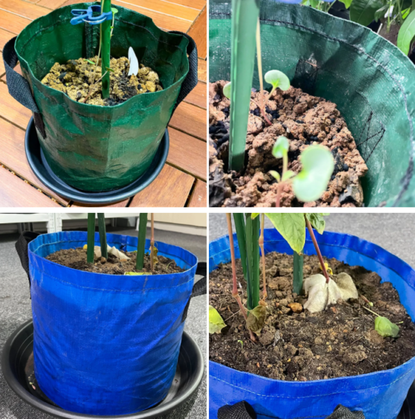 New Style Factory Price Nursery Bag 1/2/3/5/7/10 Gallon Plastic PE Grow Bag with Handles