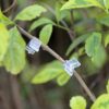 Agricultural Plastic Product Silicone Transparent Greenhouse Vegetable & Tomato Plant Grafting Clips