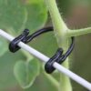 Grape Vine Trellis Clips - Agricultural Plant Plastic Rope Vine Tied Fixed Buckle Hook Tie Belt Vegetable and Fruit Tie Wire Frame Belt