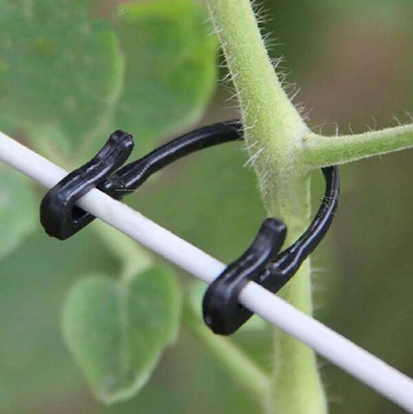 Grape Vine Trellis Clips - Agricultural Plant Plastic Rope Vine Tied Fixed Buckle Hook Tie Belt Vegetable and Fruit Tie Wire Frame Belt