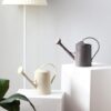Watering Can for Indoor Plants, Flower Watering Can, Plastic Water Can for Plants with Sprinkler Head 1/2 Gallons