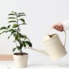 Watering Can for Indoor Plants, Flower Watering Can, Plastic Water Can for Plants with Sprinkler Head 1/2 Gallons