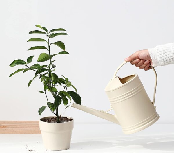 Watering Can for Indoor Plants, Flower Watering Can, Plastic Water Can for Plants with Sprinkler Head 1/2 Gallons