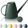 Watering Can for Indoor Outdoor Plants, Modern Small Watering Cans with Removable Nozzle, Long Spout Watering Can for Indoor Bonsai Plants Garden Flowers 1/2 Gallon 1.8L