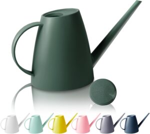 Watering Can for Indoor Outdoor Plants, Modern Small Watering Cans with Removable Nozzle, Long Spout Watering Can for Indoor Bonsai Plants Garden Flowers 1/2 Gallon 1.8L