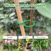Garden Vine Clips Plant Rattan Climbing Wall Fixture Buckle Tomato Grapevine Hook Holder Plant Support Clip