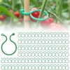 Garden Vine Clips Plant Rattan Climbing Wall Fixture Buckle Tomato Grapevine Hook Holder Plant Support Clip