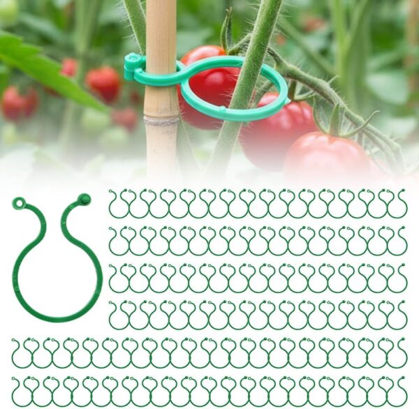 Garden Vine Clips Plant Rattan Climbing Wall Fixture Buckle Tomato Grapevine Hook Holder Plant Support Clip