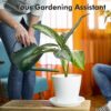 Watering Can for Indoor Outdoor Plants, Modern Small Watering Cans with Removable Nozzle, Long Spout Watering Can for Indoor Bonsai Plants Garden Flowers 1/2 Gallon 1.8L