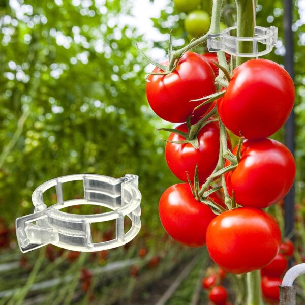 Tomato Clip Support Grafting Clip Tomato Trellis Clips
